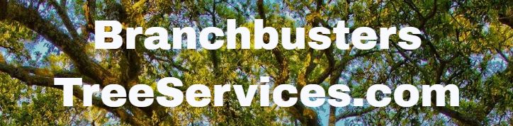 Branchbusters Tree Service